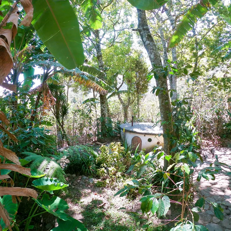 A small round white structure tucked into a lush garden of tall trees and broad leaves